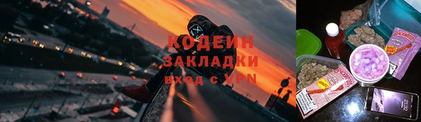 прущие грибы Алексин
