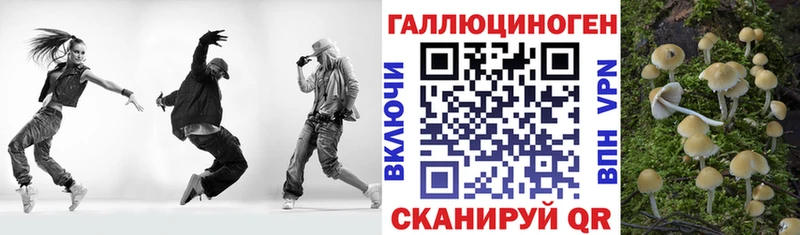 Псилоцибиновые грибы GOLDEN TEACHER  Грязовец 