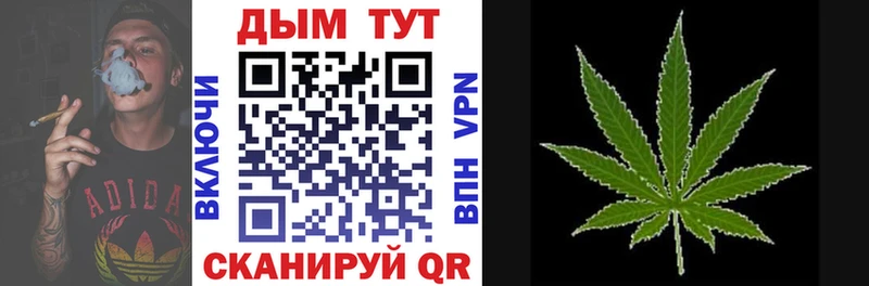 купить   Грязовец  Каннабис сатива 